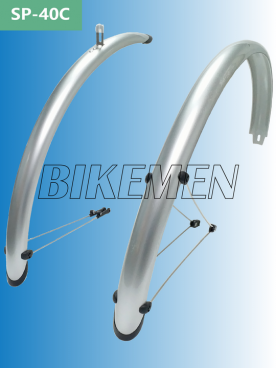 40C-700C-Shine Silver